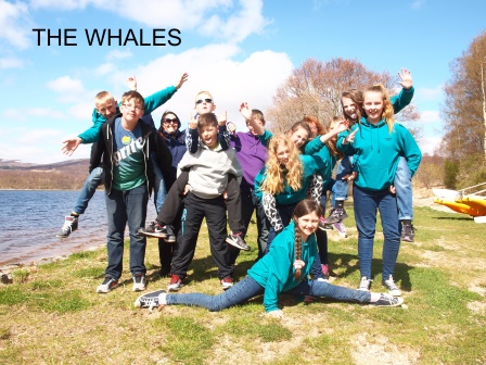 WHALES2